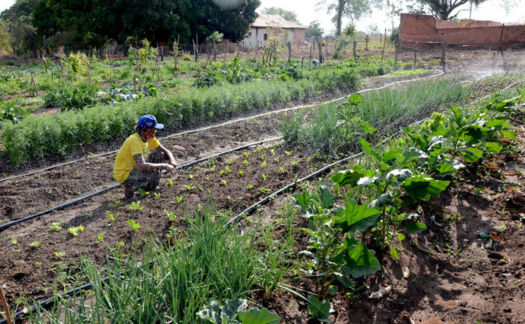 FEIRA FAMILIAR ][ São Bento do Tocantins recebe 1ª Feira da Agricultura Familiar nesta terça